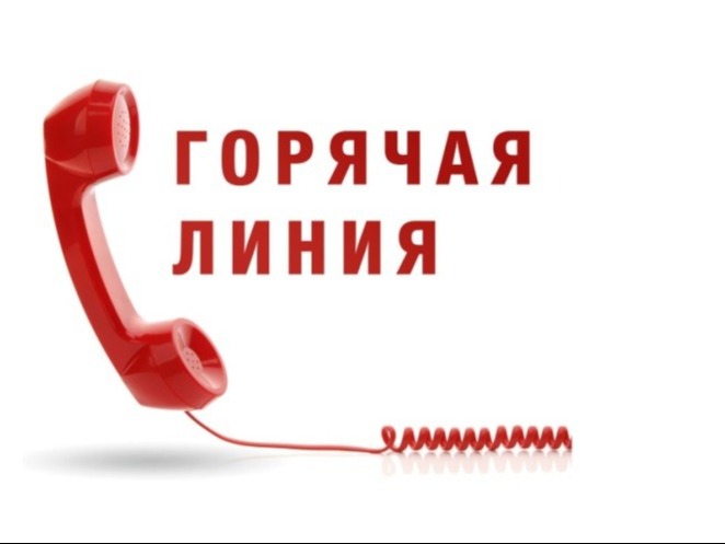 Проведении «горячей линии» по вопросам качества и безопасности детских товаров и школьных принадлежностей.